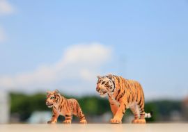 2022年も宜しくお願いいたします。