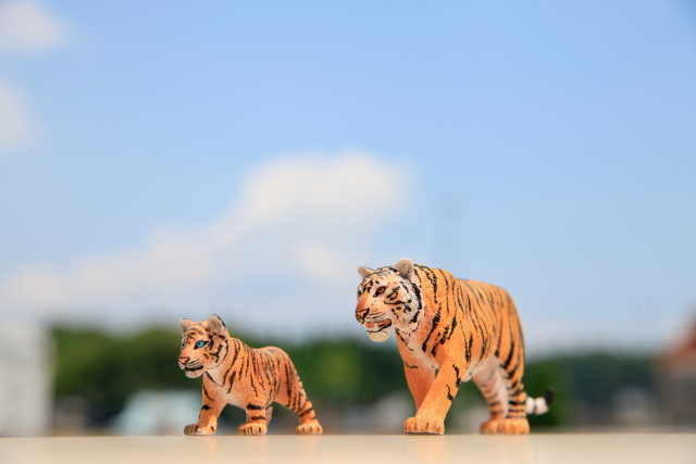 2022年も宜しくお願いいたします。