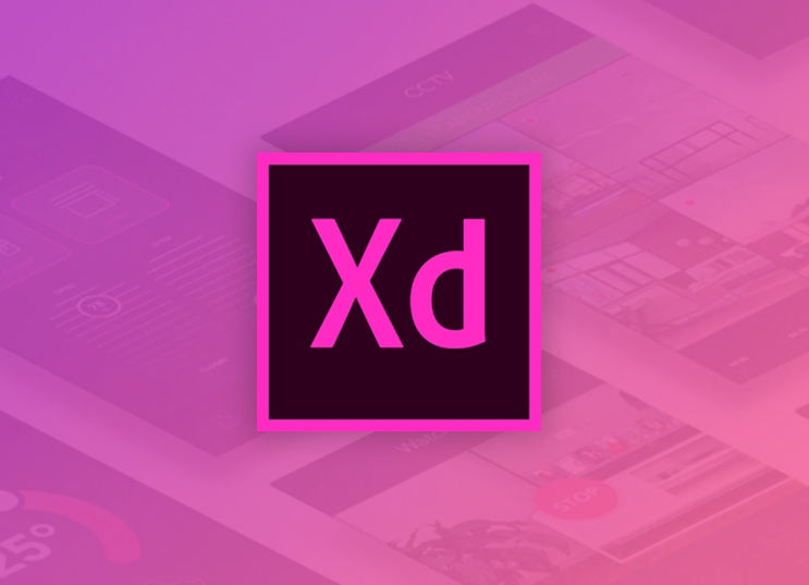 Apa Itu Adobe XD? Apa Saja Fitur Terbaru yang Dimilikinya ?