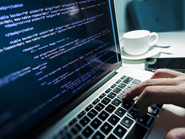 menjadi web developer