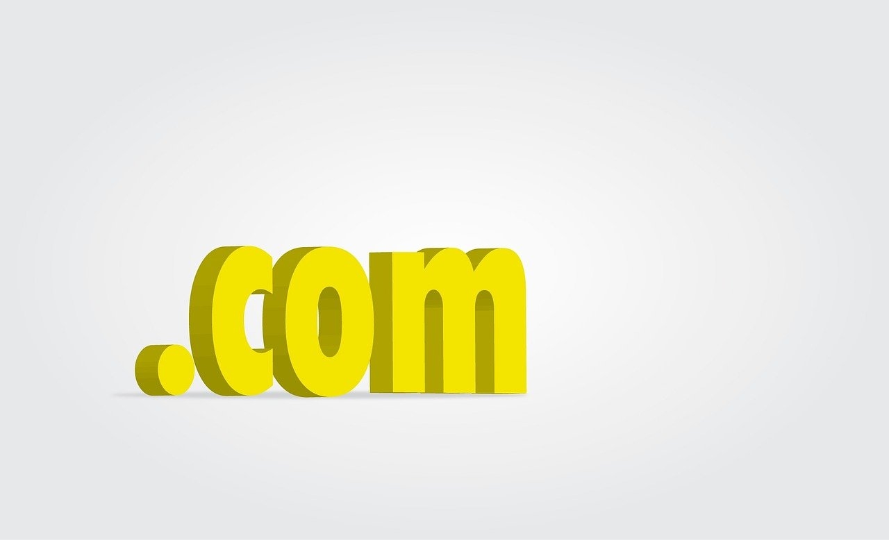 fungsi domain