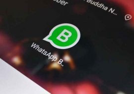 whatsapp business