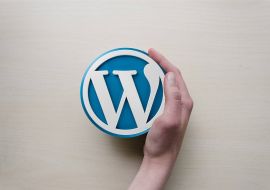 plugin wordpress