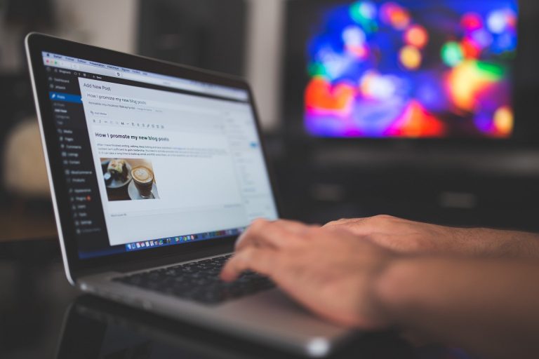 PDF wordpress