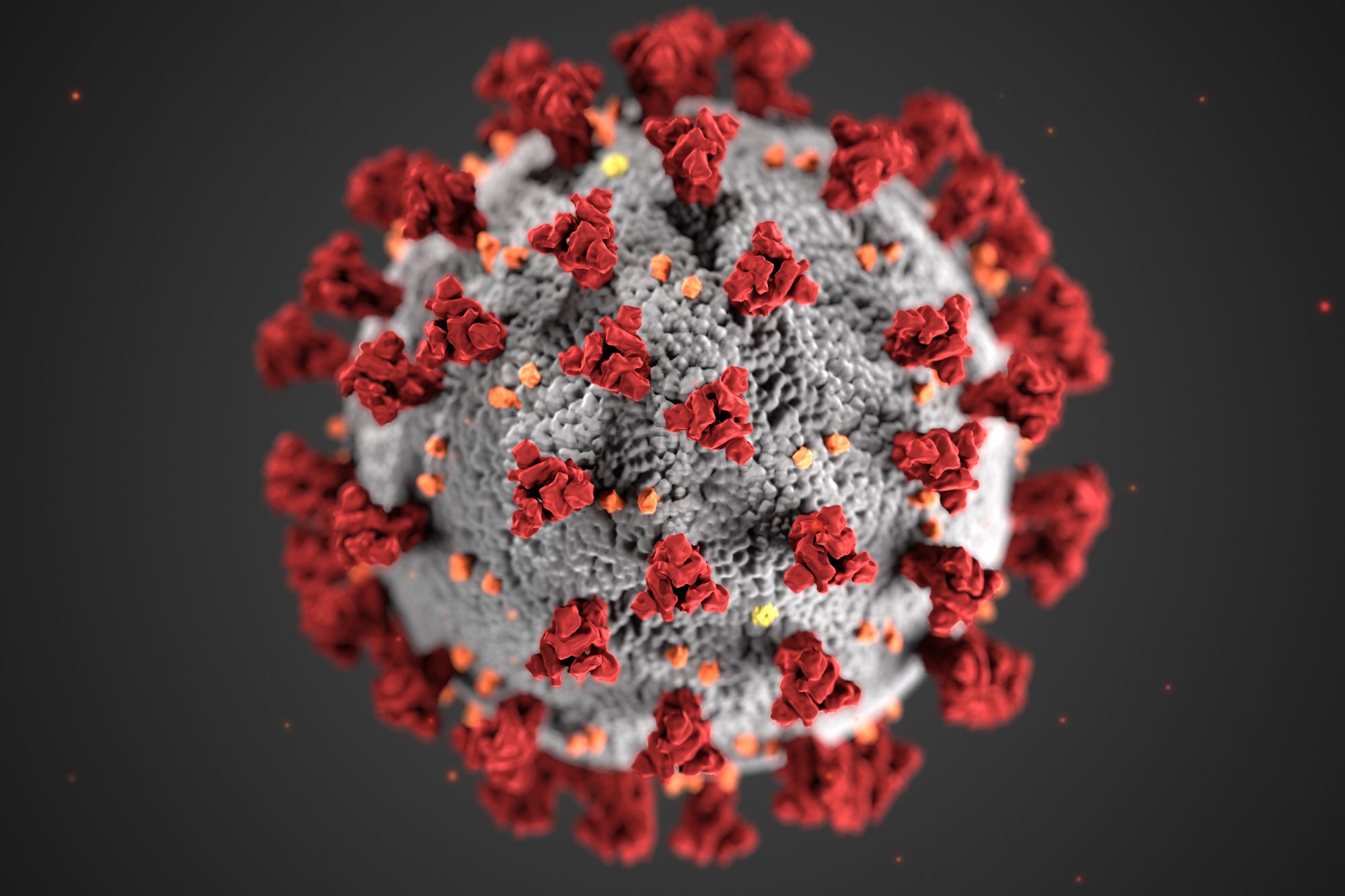 Digital Solutions: the UK’s response to the Coronavirus